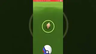 Weedle was caught!