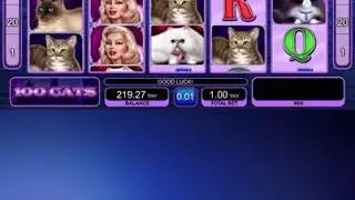 SpinForFreeSlot - 100 Cats - 1 spin 47 win