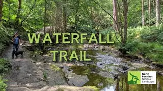 Road Trip : Bowlees Waterfall Trail 🏞️ #waterfalls #travelvlog #england