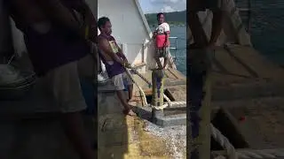 Into the Deep 🌊 | Ariya ⚓ Drop Moment