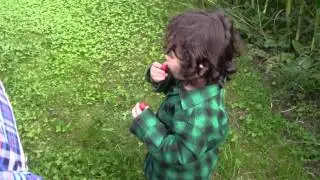 Mikey in Deroche, British Columbia