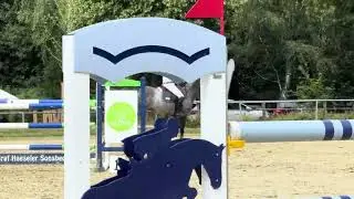 Cornet Obolensky x Lancer III, 6y old gelding 