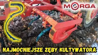 Najmocniejsze zęby kultywatora MORGA