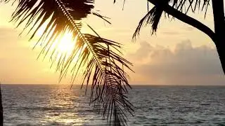 Relaxing Ocean Sound Loop