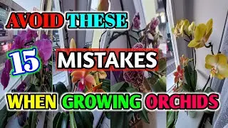 AVOID THESE MISTAKES WHEN GROWING ORCHIDS #orchids