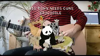 Crocodile - TTNG (Guitar Cover)