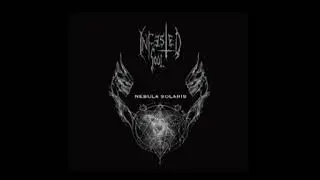 Infested Soul - Nebula Solaris 2018