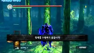 DARK SOULS - Forest Hunter Covenant