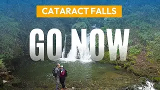 The Best Workout is outside! Chasing waterfalls after the rain | Cataract Falls Trail in Mount Tam