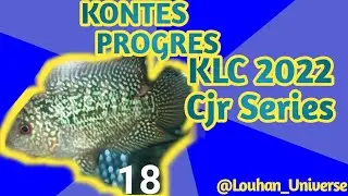 Louhan Universe - Kontes Grooming KLC (Kediri Louhan Community) 2022 #CjrSeries #konteslouhan
