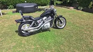 Honda Shadow VT1100 1994 SC23 Custom