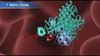 Effect of Arginine in poultry #chicken #genetics 