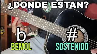 Que son bemoles y sostenidos en guitarra ( facil bien explicado)