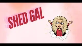From Discontent to Industry Pioneer: The Shed Gal's Journey of Innovation and Collaboration