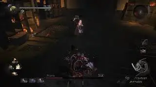 Nioh way of demon9.5