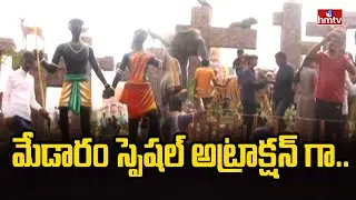 మేడారం స్పెషల్ అట్రాక్షన్ గా..! | Medaram Jatara Showcases Adivasi Culture & Traditions | hmtv