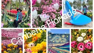 Canberra Floriade 2024, Australia&rsquo;s biggest spring festival