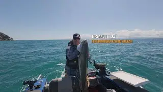 Советы и приемы ловли королевской макрели с помощью даунриггера (проверенные тактики)