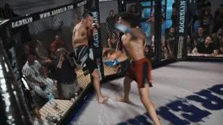 Aggrelin 18 - Highlights