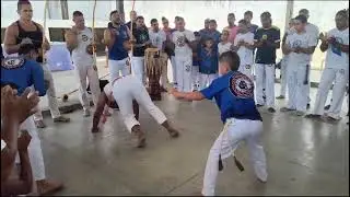 Mestre Malunguinho jogo aluno le&atilde;ozinho orgulho desse menino e formado estigado Itamarac&aacute; 19/01/2025