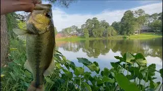 Owner flashy swimmer (underspin) fires up 2 4pounders back to back  #fishing #bassfishing #fish