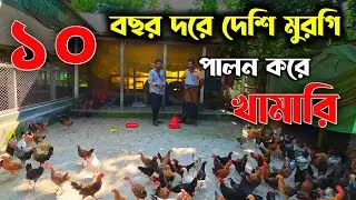 দেশি মুরগি পালন পদ্ধতি খামারির কথা ।। দেশি মুরগি পালনপদ্ধতি জেনে নিন ।। মায়া বাংলা BD