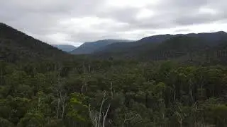 Hiking from Tali karng - Wellington River Trail -  Victorian High Country