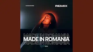 Made in Romania (Brazilian Phonk Remix)