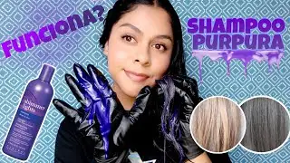 SHIMMER LIGHTS🌟|EL MEJOR MATIZADOR💯|SHAMPOO MORADO💜|APLICACION EN SECO🙆