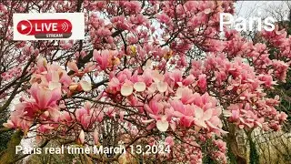 🇫🇷Paris real time 13/03/2024 08h47 11'C#paris4kwalker #voyage #paris #france #paris2024 #march2024