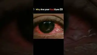GirlsBike rider WhatsApp status videobikersofinstagram#roadtripgoals# instabike#bikelife