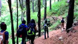 Bambarakanda Waterfall Hike