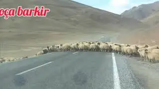 Hozan Hamid Ko&ccedil;a bark&icirc;r