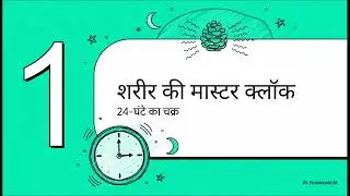 Pineal Gland Melatonin, Sleep Cycle, Puberty & Disorders Part-27/02 #alliedhealthsciences #pineal