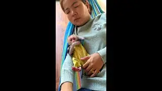 Precious Little KT Snuqqled In Mom&rsquo;s Heartwarmingly Arm & Peacefully Taking A Nap