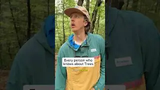 Next time you&rsquo;re in the woods, look at the tree&rsquo;s FICO score #trees #botany #forest #comedy #shorts