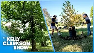 Kelly Clarkson Loves Nonprofit Transforming Missouri's Tree Canopy