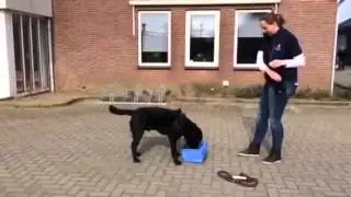 bommel, ruim op!