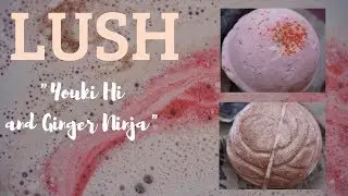 Lush Bath Bomb 