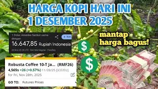 HARGA KOPI HARI INI TERBARU 1 DESEMBER 2025
