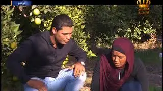يسعد صباحك | البحر الميت | صباح الوطن الجميل من الشونة الشمالية وموسم الحمضيات