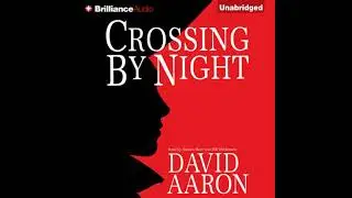 Crossing By Night - David Aaron