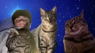 A tribute to KKJ. Rest in Heaven Kitty 