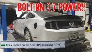 Bolt on 3.7 V6 Mustangs 300 hp dyno run #MafiaTuned