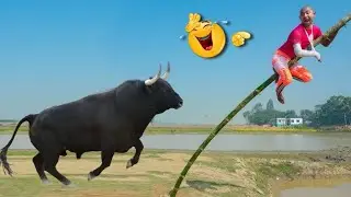 Very Special Trending Funny Comedy Video  2024 😂 Amazing Comedy Videos @busyfunltd9692