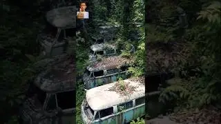 Lost to Time A Mysterious Convoy of VW Buses Swallowed by the Forest #VWBusGraveyard