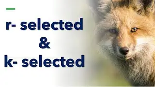 k-selected and r-selected species | iteroparity, semelparity