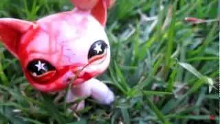 LPS Hunger Games Finale