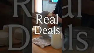 Our First Wash Rinded Cheeses