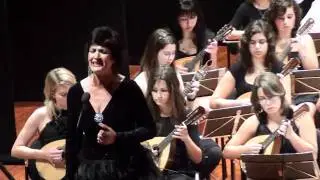 Fado das Tamanquinhas - Carlos Neves